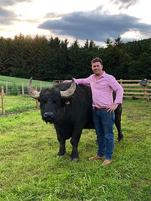 Buffalo Farm Steve Buffalo Farm Steve